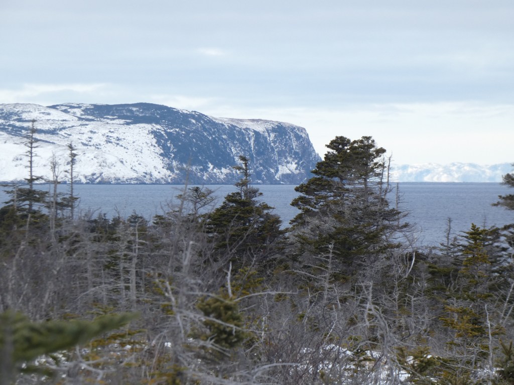 La Loupe bureau d'études sciences sociales Saint-Pierre et Miquelon