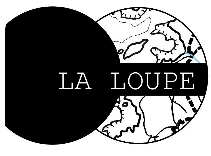 études la loupe bureau d'études sciences sociales bretagne