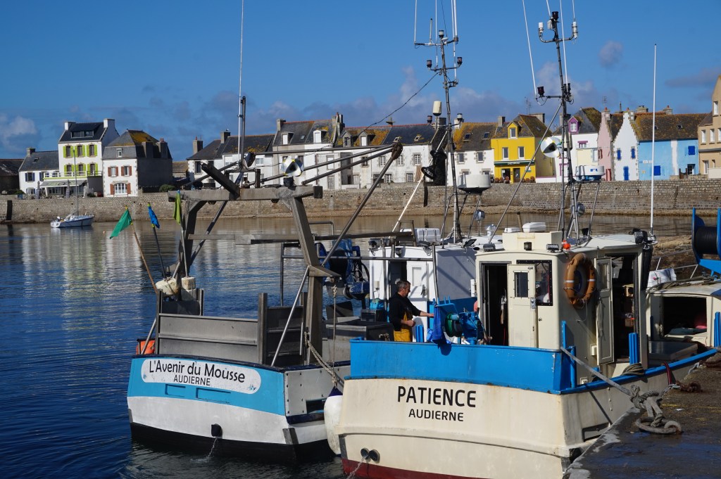 La Loupe bureau d'études sciences sociales îles