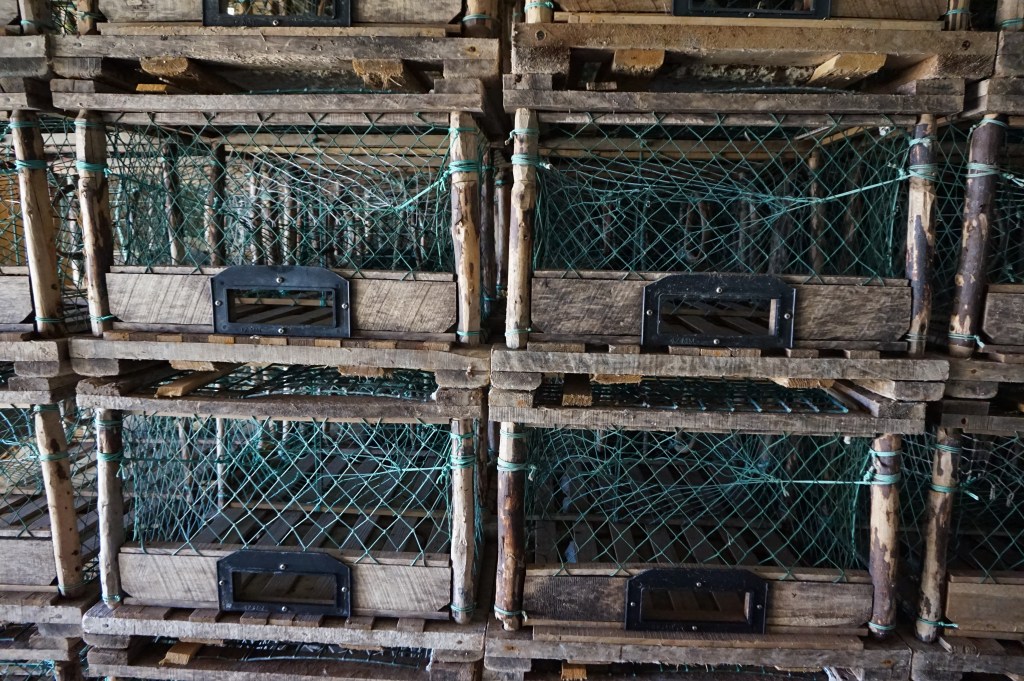 La Loupe bureau d'études sciences sociales pêche littoral