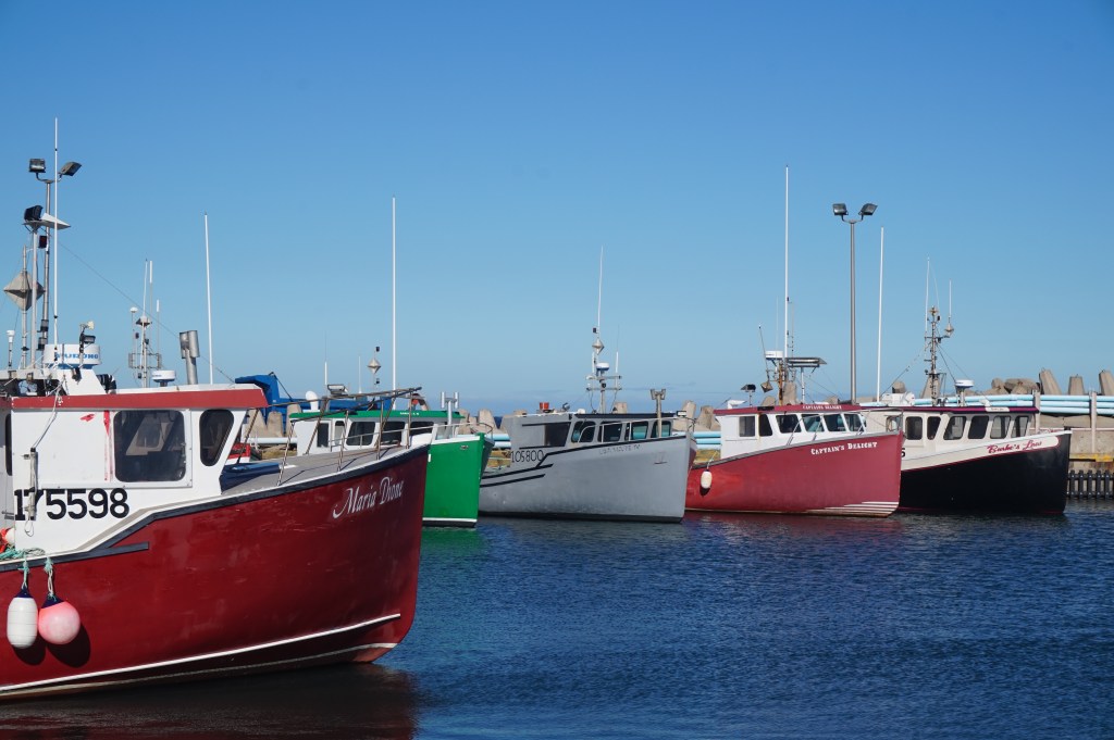 La Loupe bureau d'études sciences sociales Finistère Brest