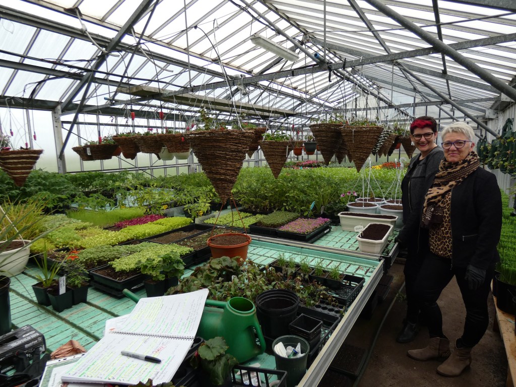 bureau d'études sciences sociales Finistère La Loupe