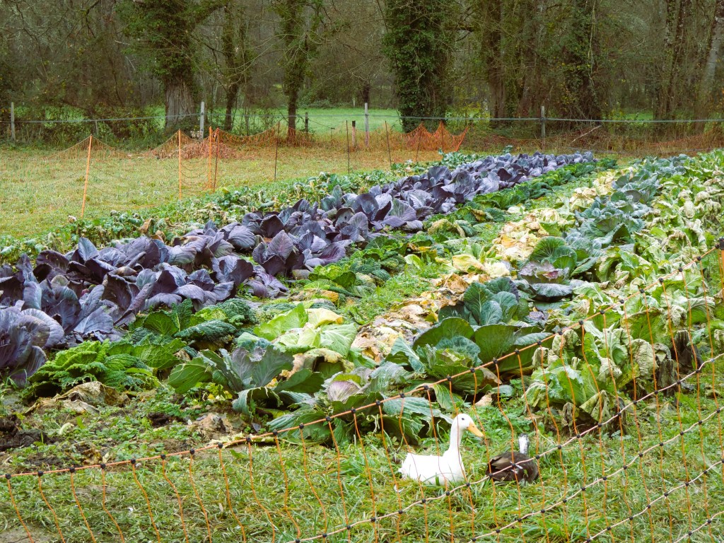 agroécologie dordogne