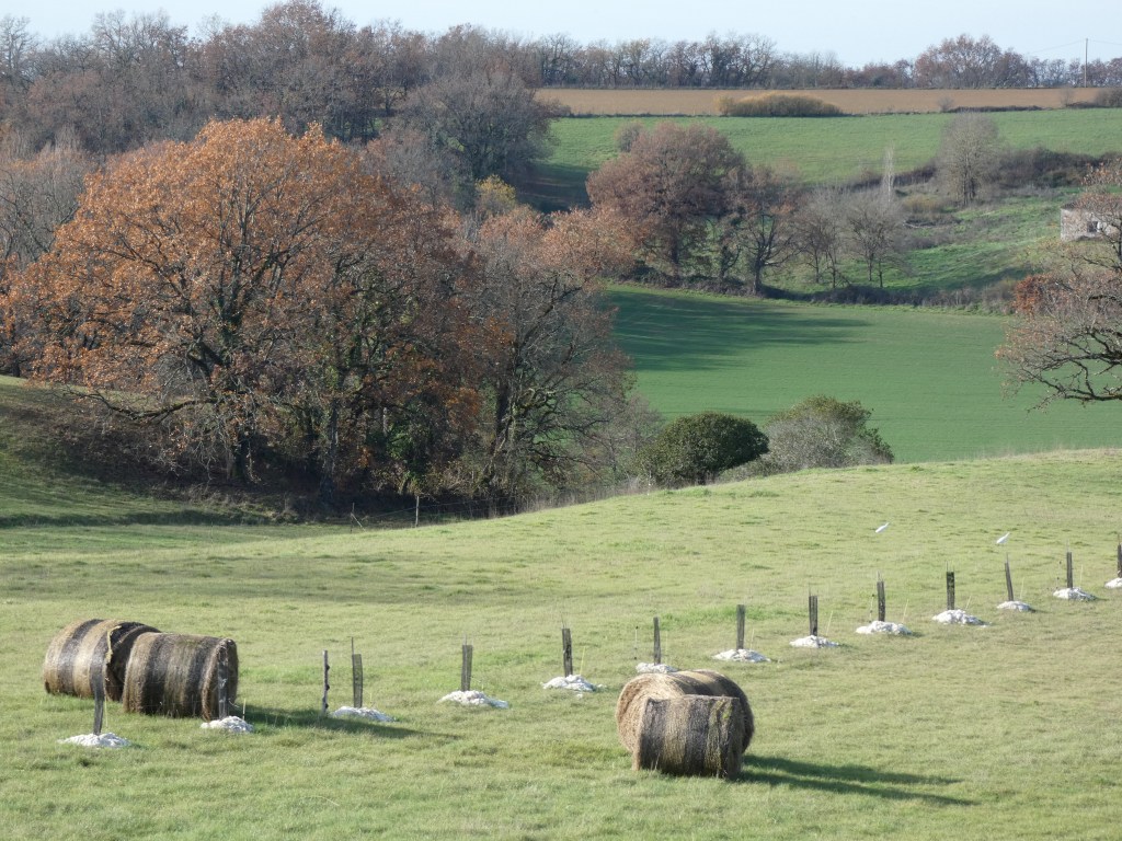 agroécologie
